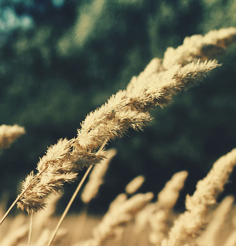 哪里买最便宜的手机号码轰炸app免费